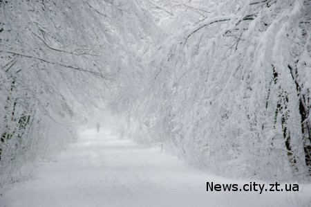 Завтра 17 грудня в Житомирі очікується багато снігу...
