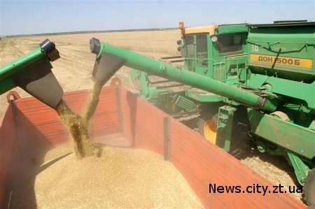 У Житомирській області аграрії знову планують зібрати мільйон тон зерна і забезпечити область хлібом