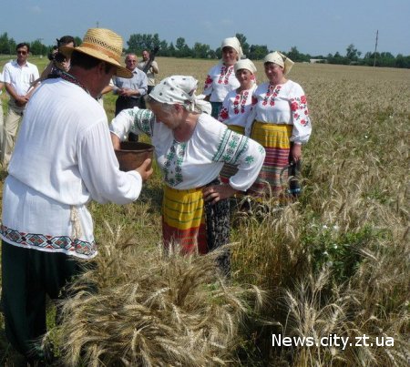 У Житомирській області розпочали підготовку до збору врожаю