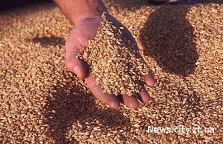 Середньозважені закупівельні ціни на пшеницю 3 класу за станом на 30 липня 2010 збільшилися на 12%, до 1327 грн / т