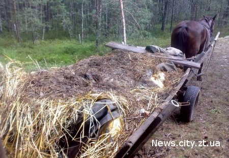 Житель Житомирської області намагався в купі гною перевезти контрабанду через кордон