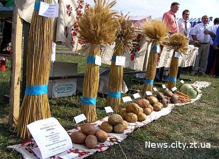 У Житомирі 3 вересня відбудеться свято «Обжинки-2010» і сільськогосподарські ярмарки