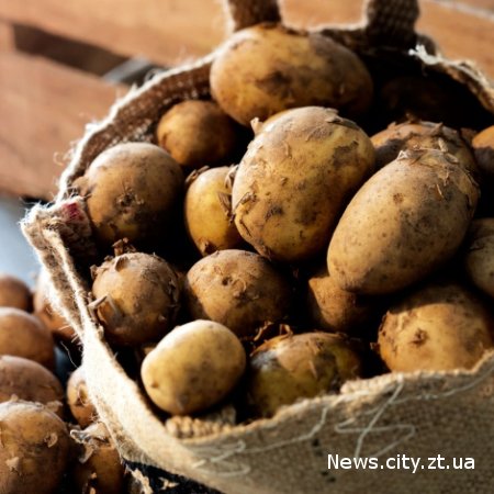 У Житомирській області населення запасається картоплею, незважаючи на її подорожчання