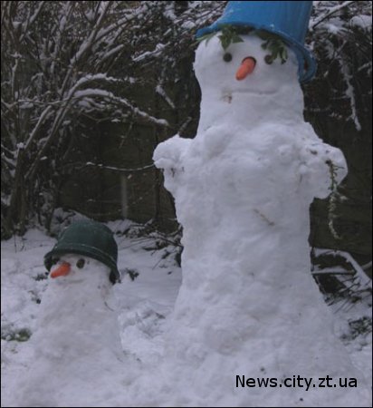 25 листопада в Житомирі очікується сніг.
