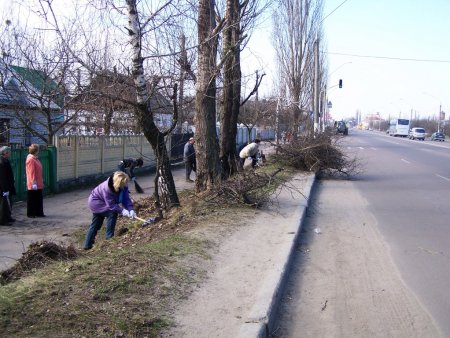 Житомирські чиновники показали двірникам приклад, як треба прибирати вулиці міста.