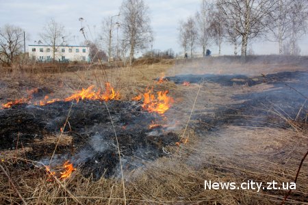 У Житомирській області згоріло близько 13 га сухої трави