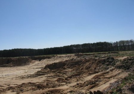 Природоохоронна прокуратура через суд має намір повернути 5700 тисяч за незаконно видобутий пісок у Левкова під Житомиром