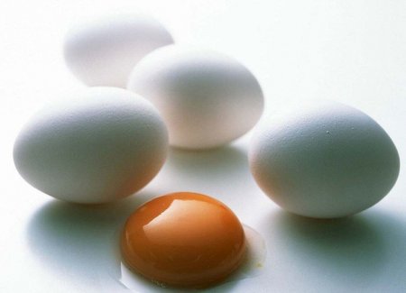 Яйця - справжня отрута ?