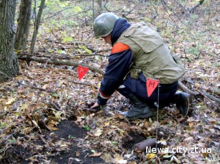 У Житомирській області на своєму городі господар знайшов вибухонебезпечний скарб