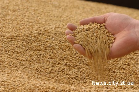 У Житомирській області 52 підприємства подали заявки на продаж 19 тис. т зерна