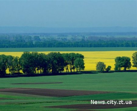 У Житомирській області площа орендованих сільгоспземель виросла на 22%