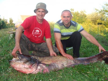У Житомирській області дядько з племінником зловили на вудку сома вагою 44 кг