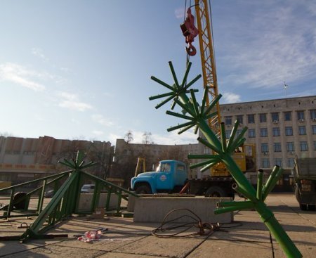 У Житомирі на площі Корольова почали встановлювати новорічну ялинку