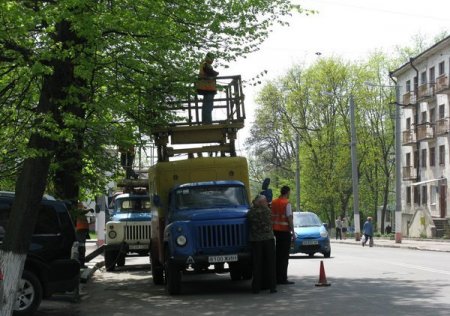 У Житомирі за день збиралися пофарбувати всі тролейбусні стовпи