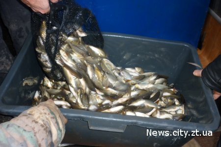В Житомирській області мешканці самостійно запустили в ставок 700 кг риби