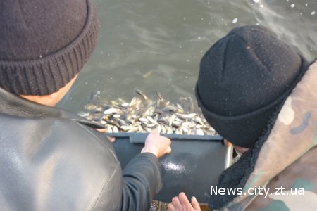 В Житомирській області мешканці самостійно запустили в ставок 700 кг риби