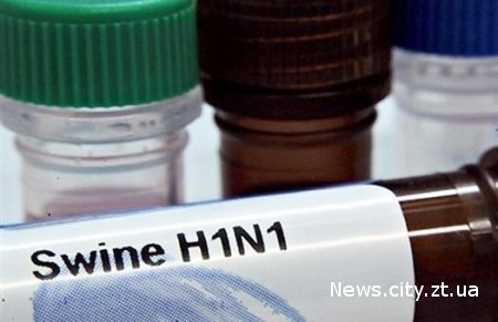 Свинячий грип вже в Україні: як вберегтися від недуги та що робити, якщо все ж захворів