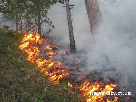 У Новоград-Волинському районі вже тиждень вирує лісова пожежа