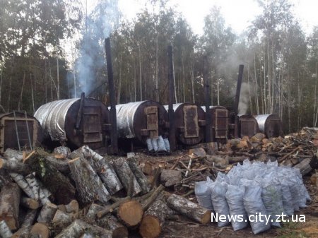 В Олевському районі СБУ ліквідувала нелегальне підприємство з виробництва деревного вугілля