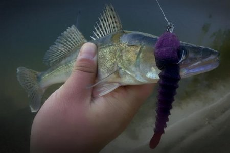Житомирская рыбалка. Что выбирают для рыбалки в Житомире