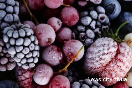 В Коростенському районі запустили завод із заморожування ягід та фруктів