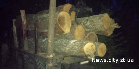 У Білокоровицькій громаді поліцейські затримали вантажівку з краденою деревиною