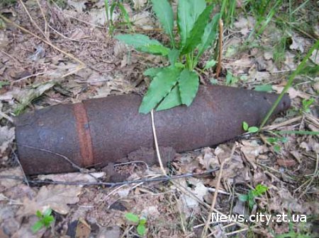 У Житомирській області сапери знищили майже 1300 мін, гранат і снарядів
