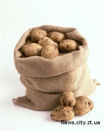 У Житомирській області підлітки вкрали 5 мішків картоплі і 4 банки сала