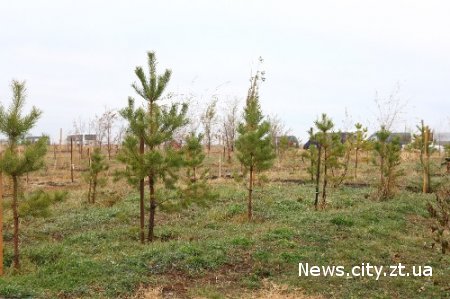 У Житомирській області закінчилася земля для посадки нових лісів?