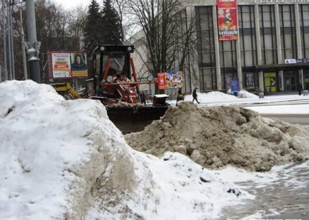 В центрі Житомира комунальники знищили одного з учасників конкурсу на найбільший замет міста