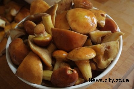 На Житомирщині у цьому році зареєстровано перший випадок отруєння грибами