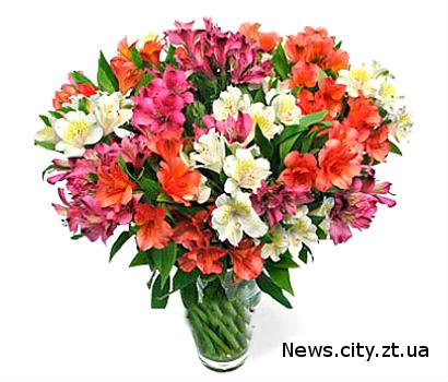 Доставка цветов Житомир – комфортный сервис от Roza24.com.ua